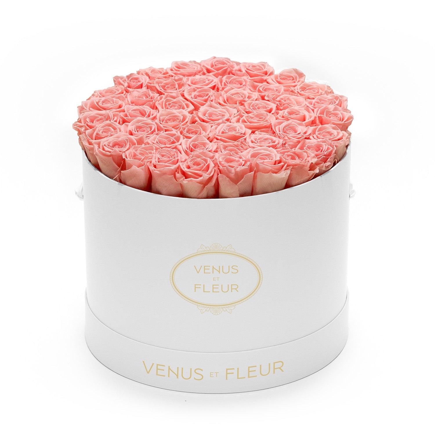 Eternity® Roses: Preserved Roses That Last a Year | Venus et Fleur