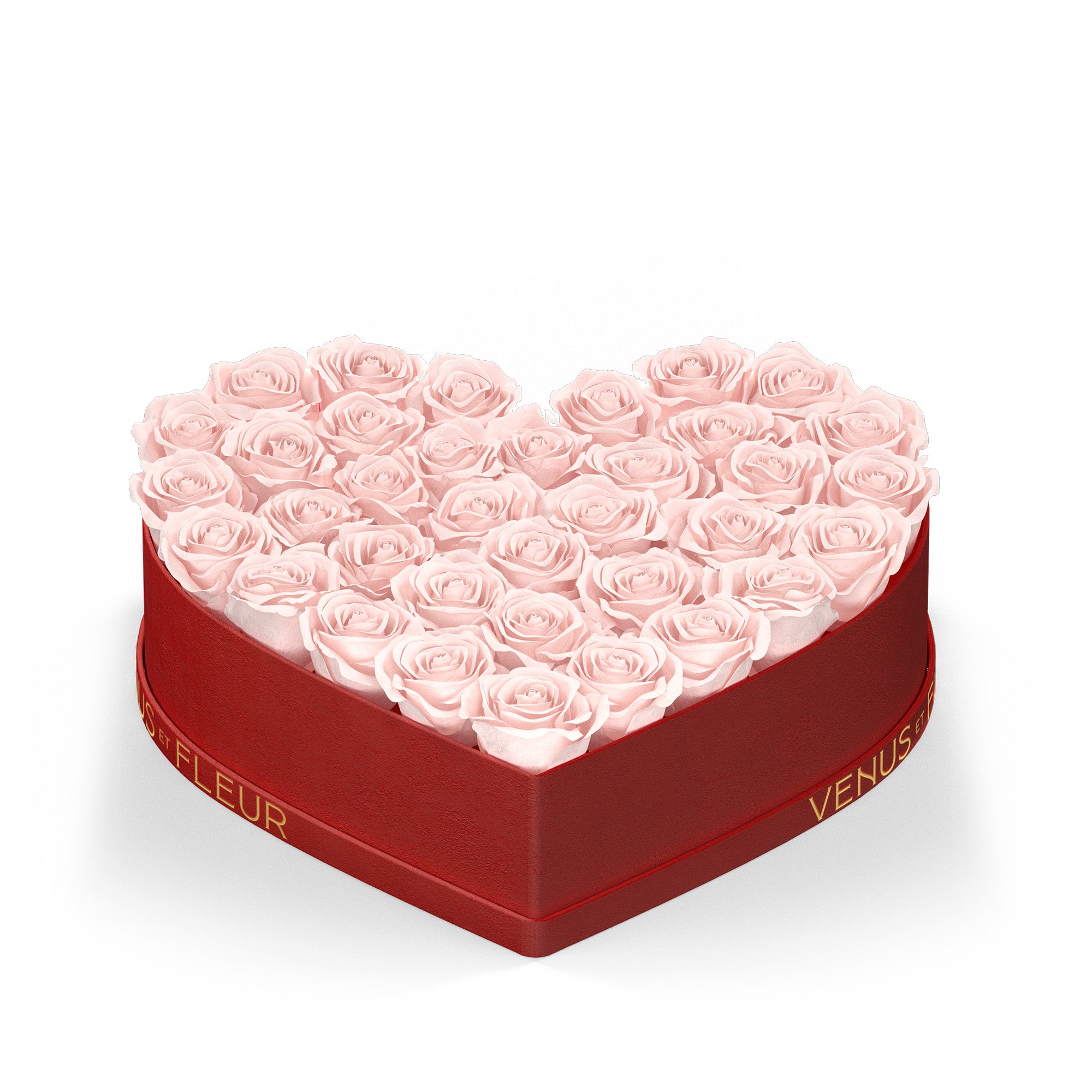 Red & Blush Roses Box