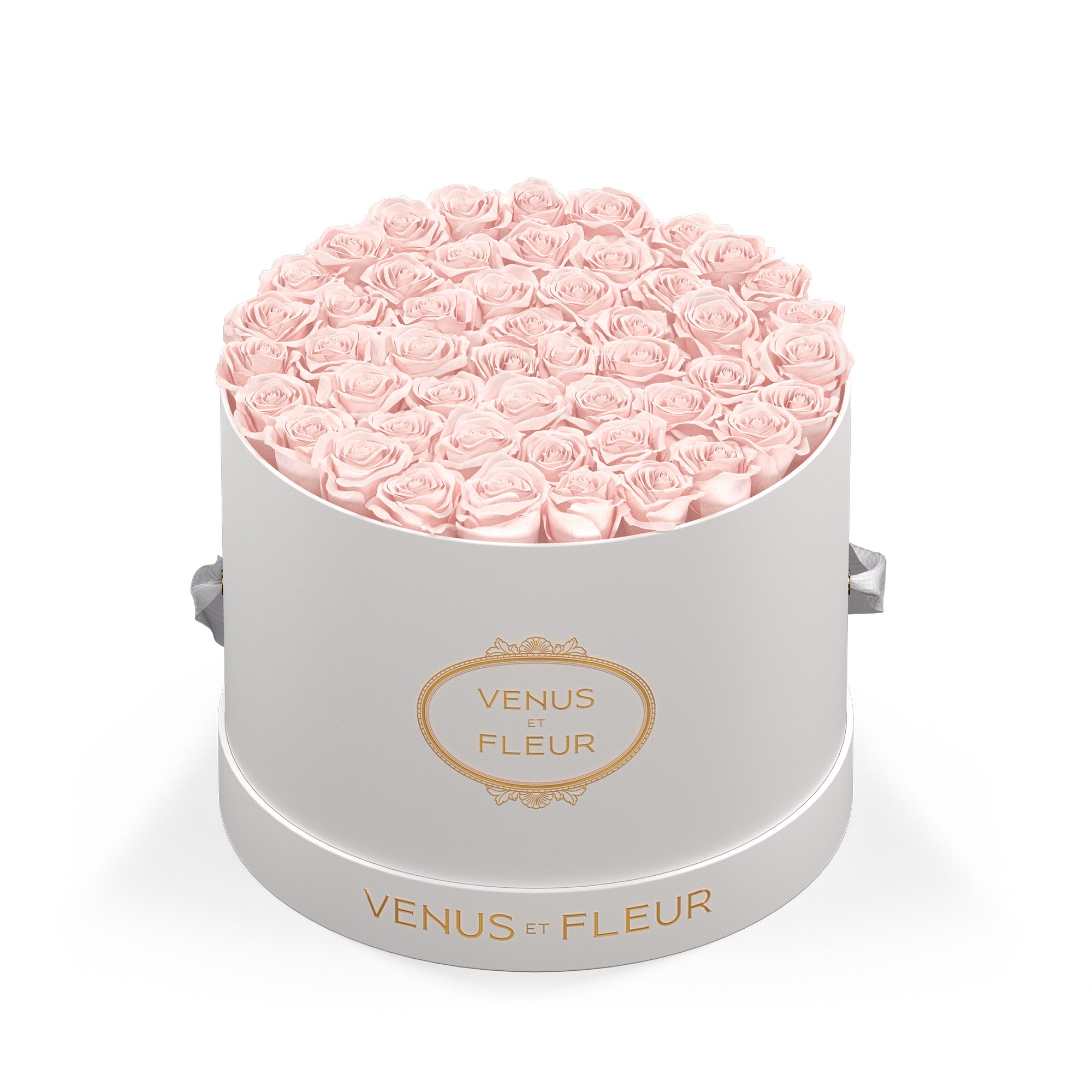 Eternity® Roses: Preserved Roses That Last a Year | Venus et Fleur