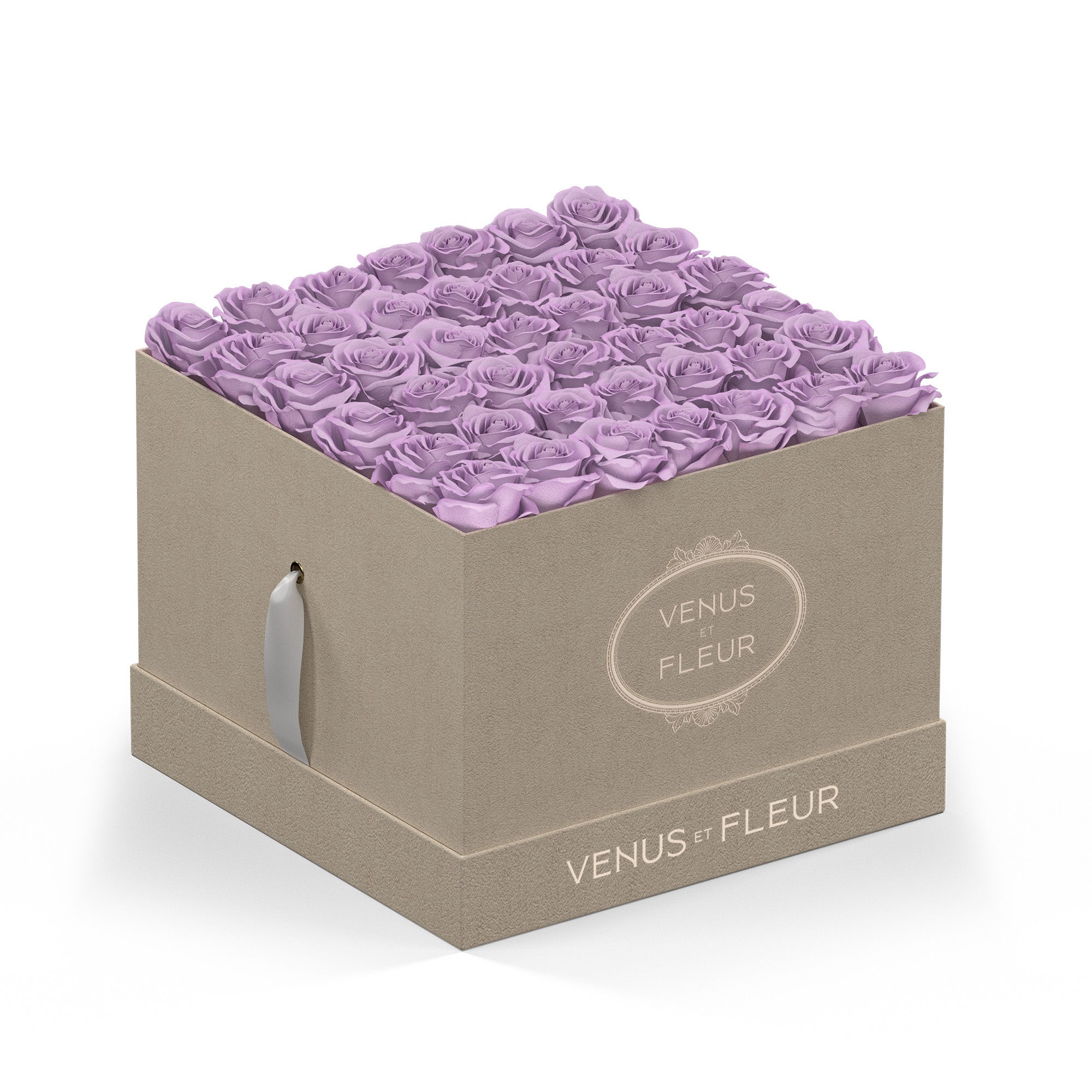 Large Square Cream Box with Eternity Roses | Venus et Fleur