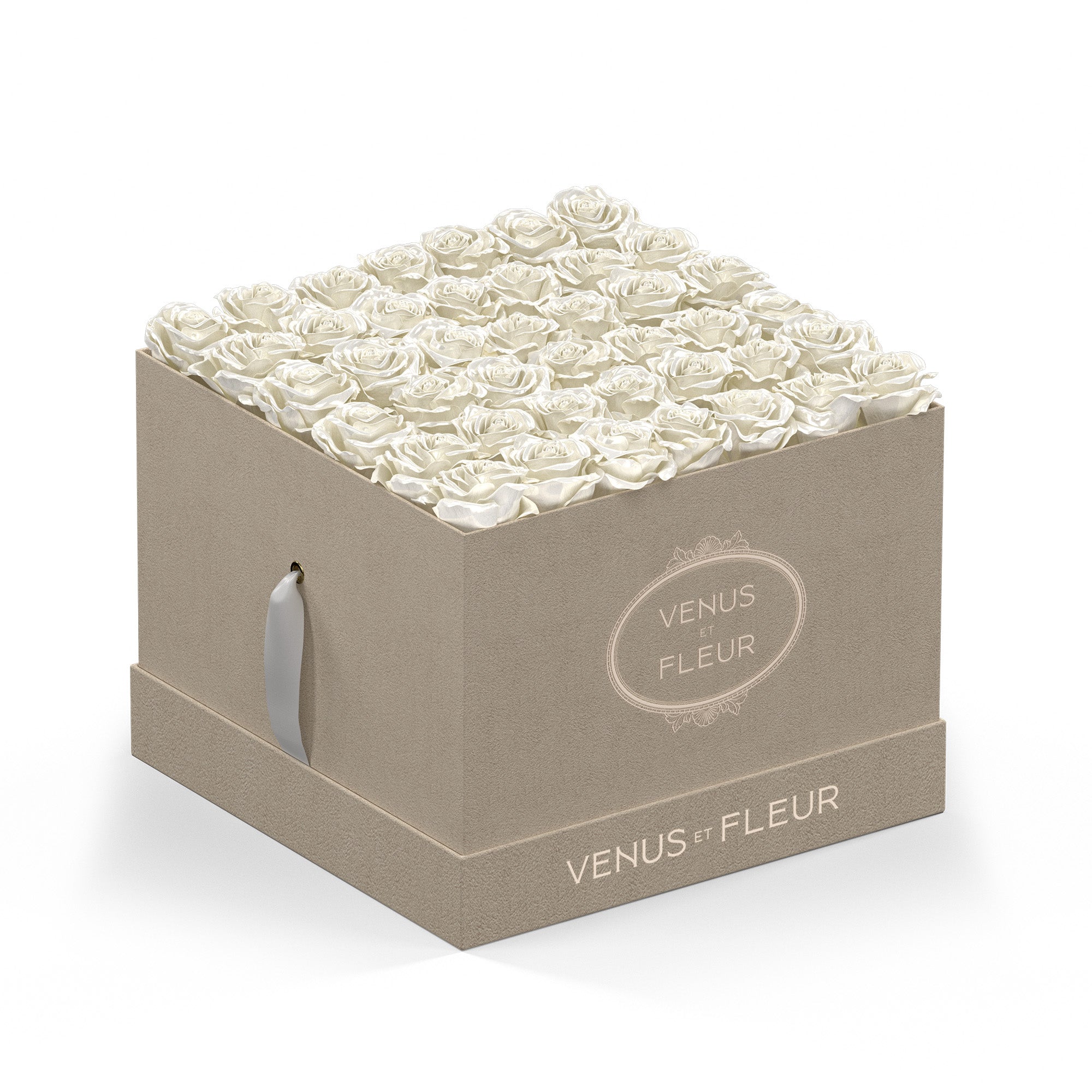 BAISER ベーゼ EN FLEUR 限定BOX largesquare-creamsuede-roses-