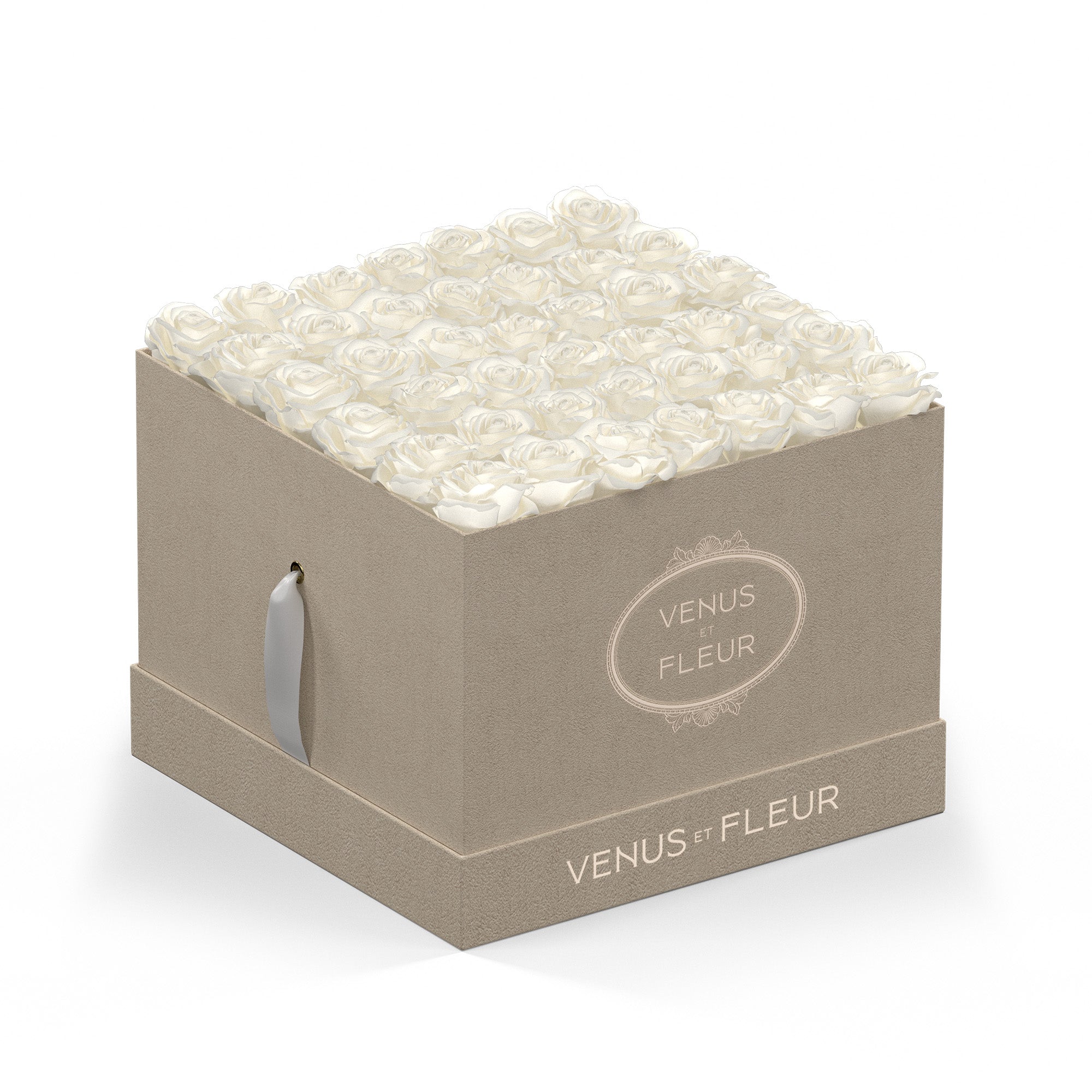 Beige square box filled with white roses, with text 'VENUS ET FLEUR' on the box