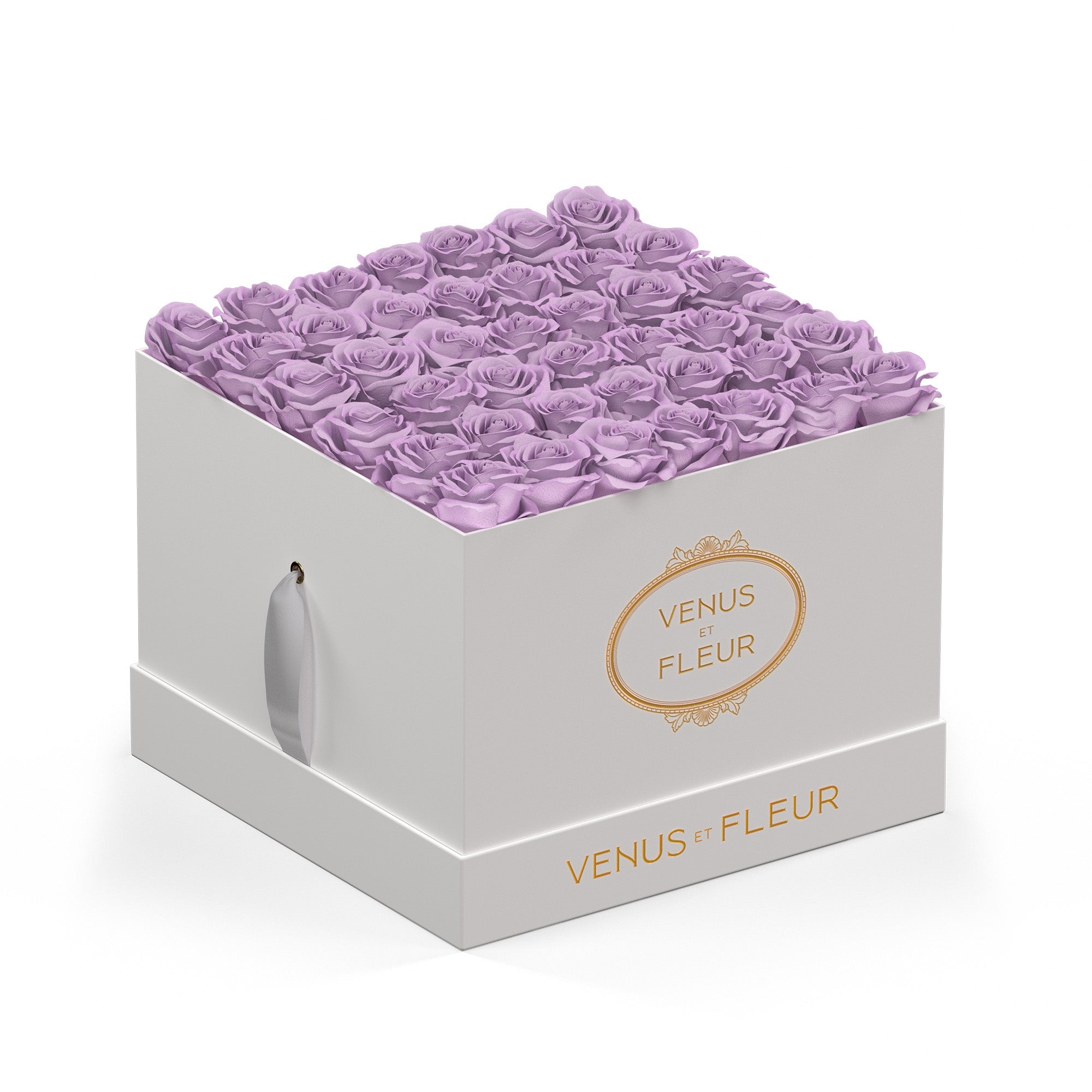 BAISER ベーゼ EN FLEUR 限定BOX largesquare-creamsuede-roses-