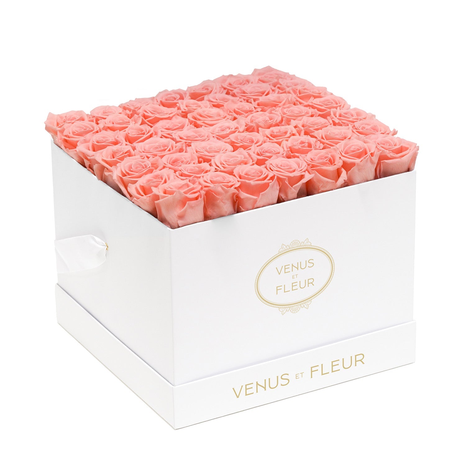 Eternity® Roses: Preserved Roses That Last a Year | Venus et Fleur