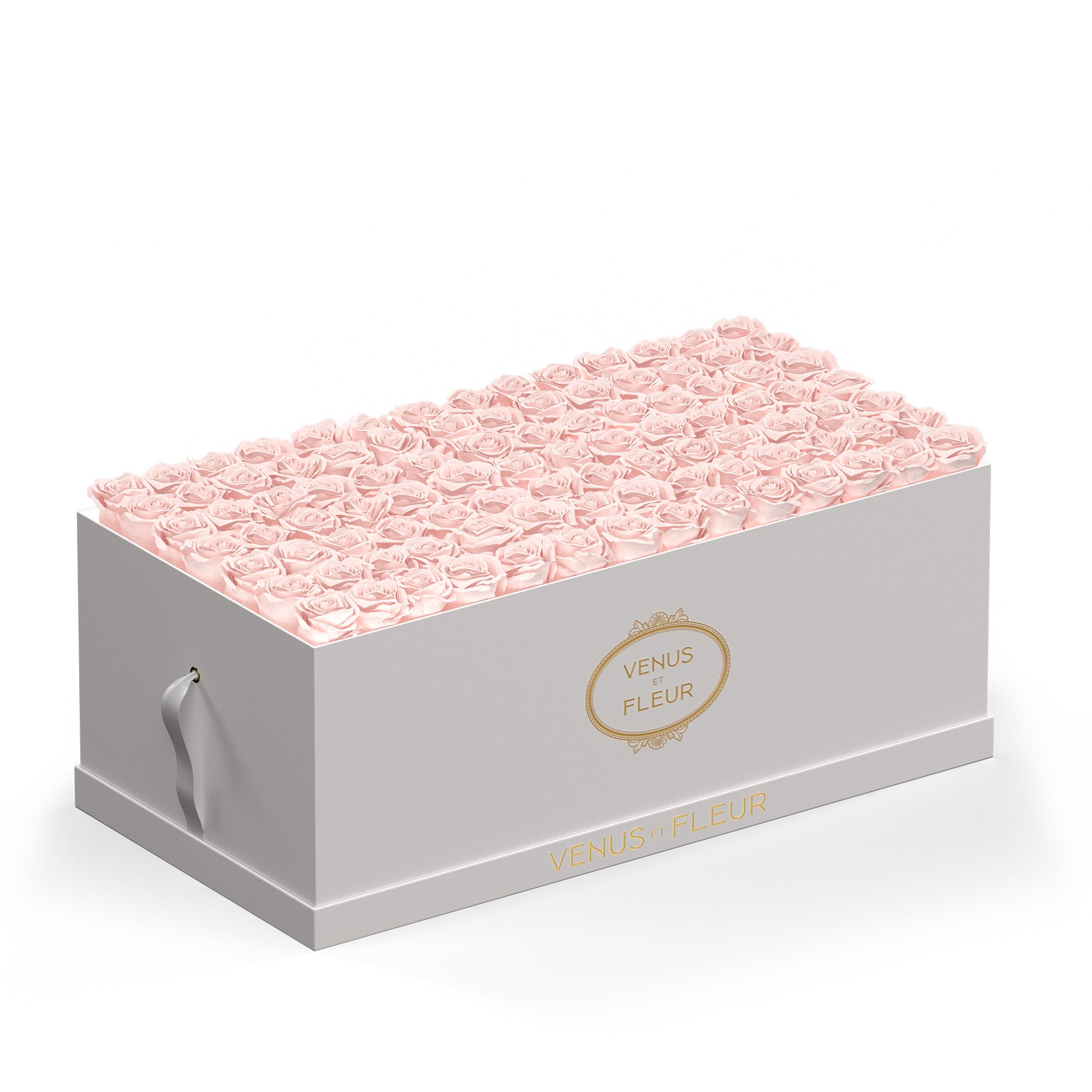 Le Duo Magnifique White Box with Eternity Roses | Venus et Fleur