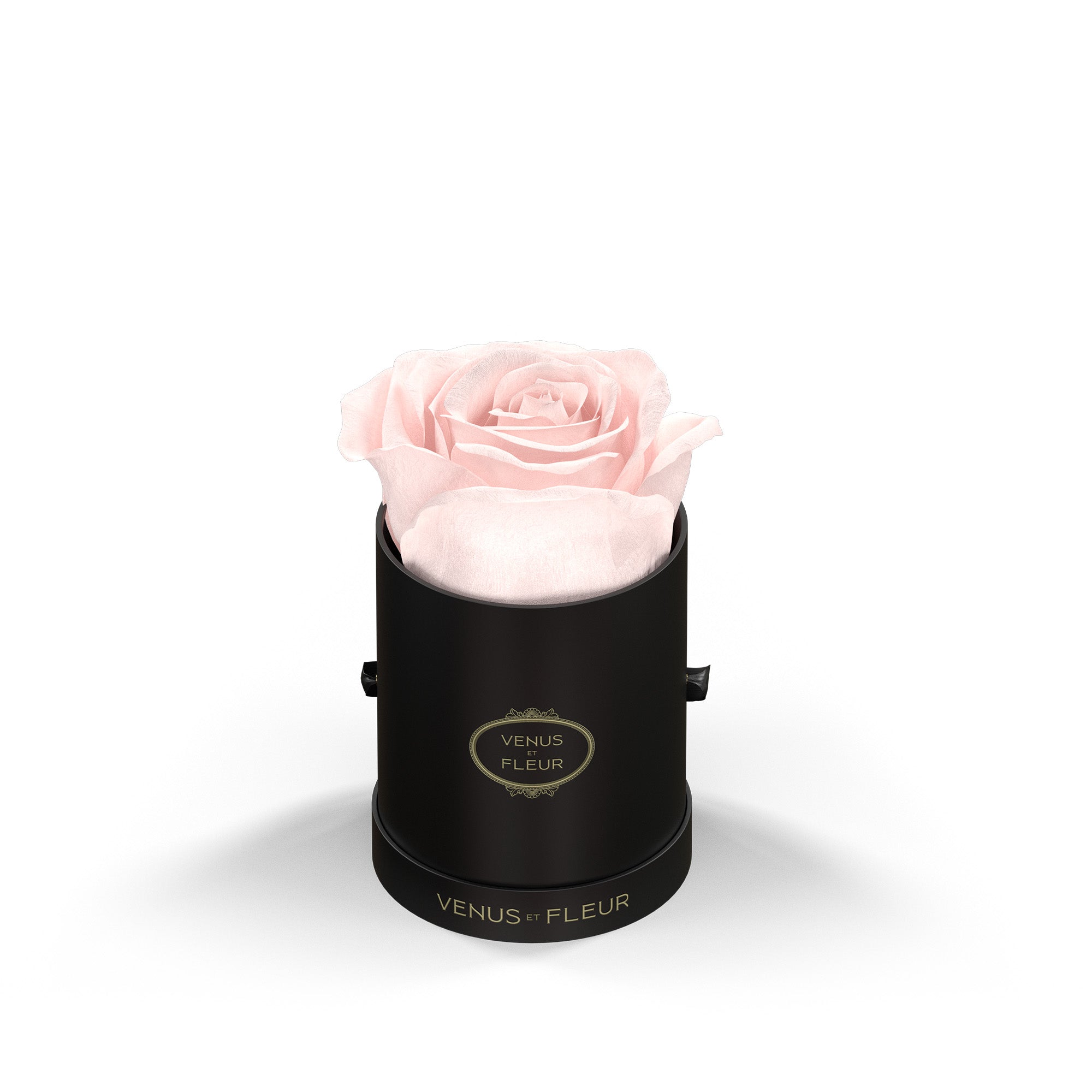 Le Mini Round