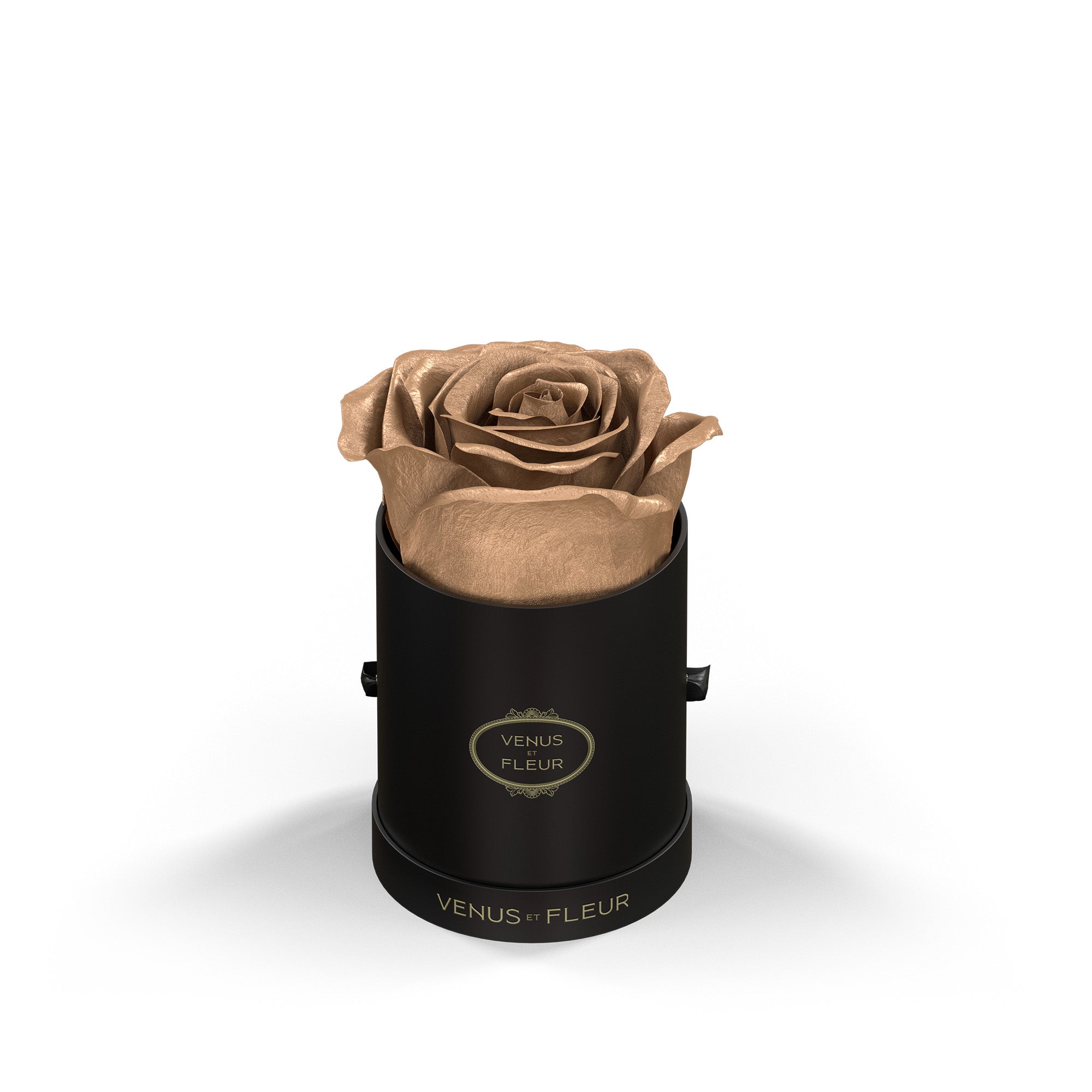 Le Mini Round