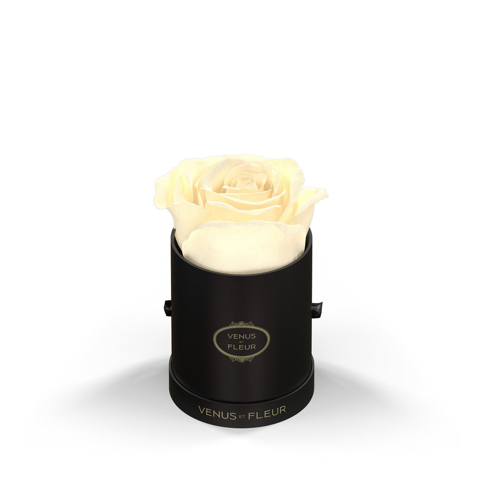 Le Mini Round, Black Classic, Pearl, 1 Eternity Rose, Venus et Fleur
