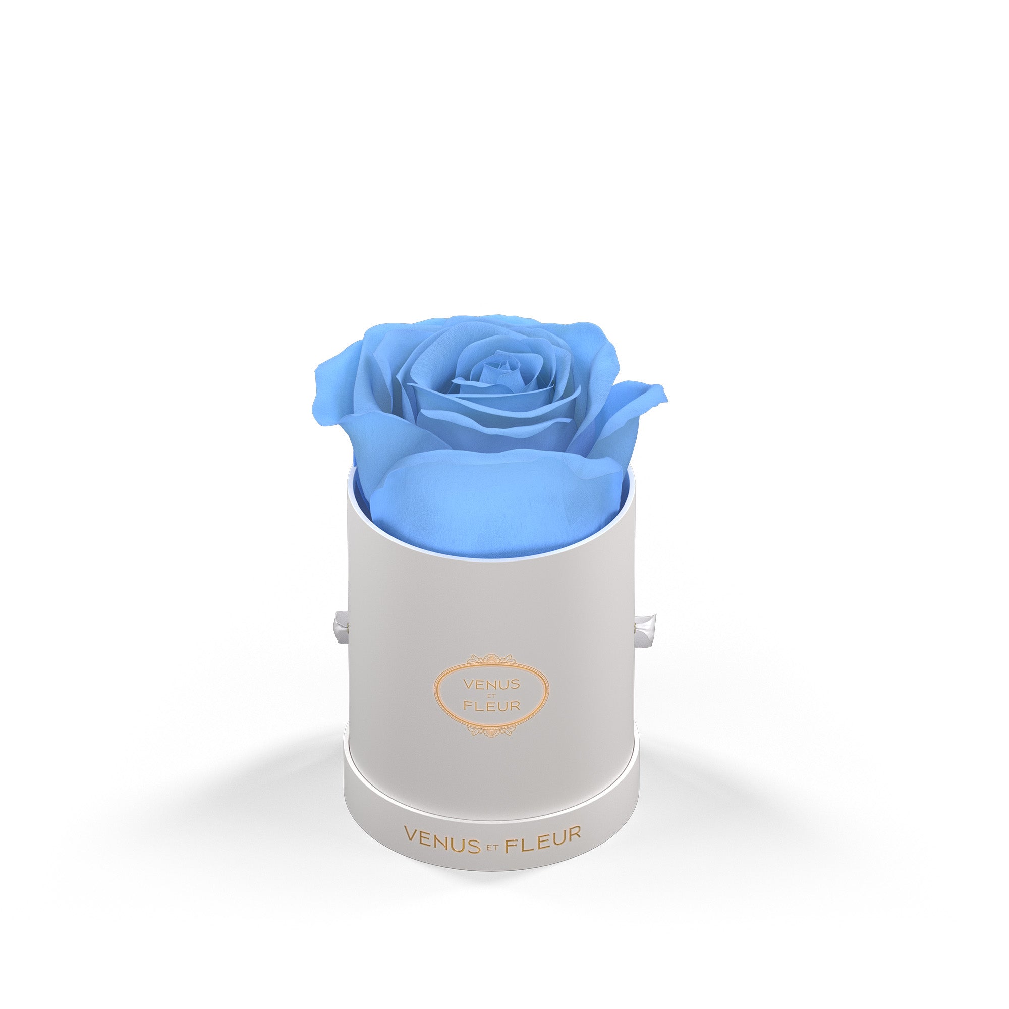 leminiround-whiteclassic-roses