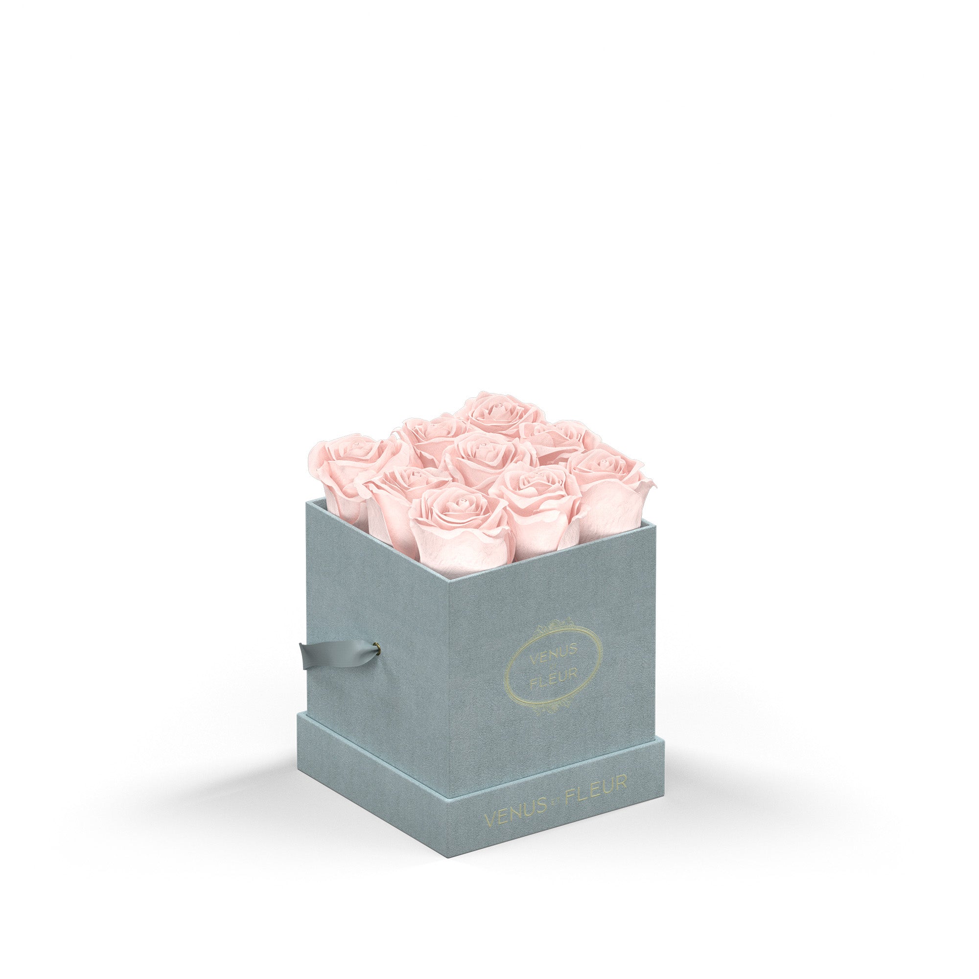 Le Mini Square