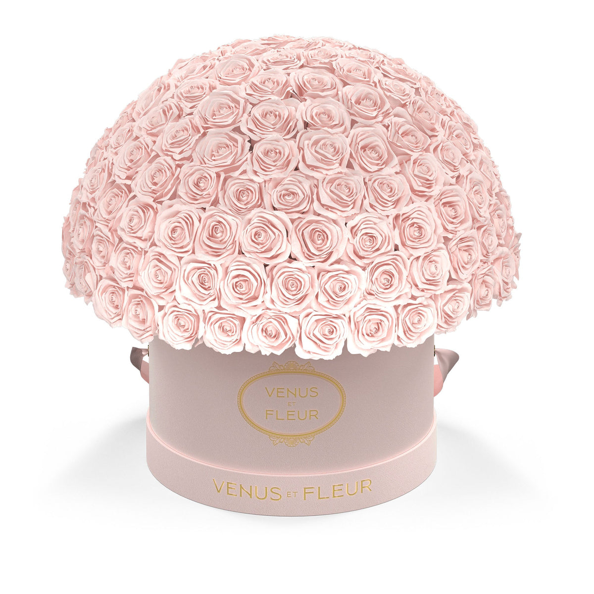 Large Le Plein Blush Suede with Blush Eternity® Roses