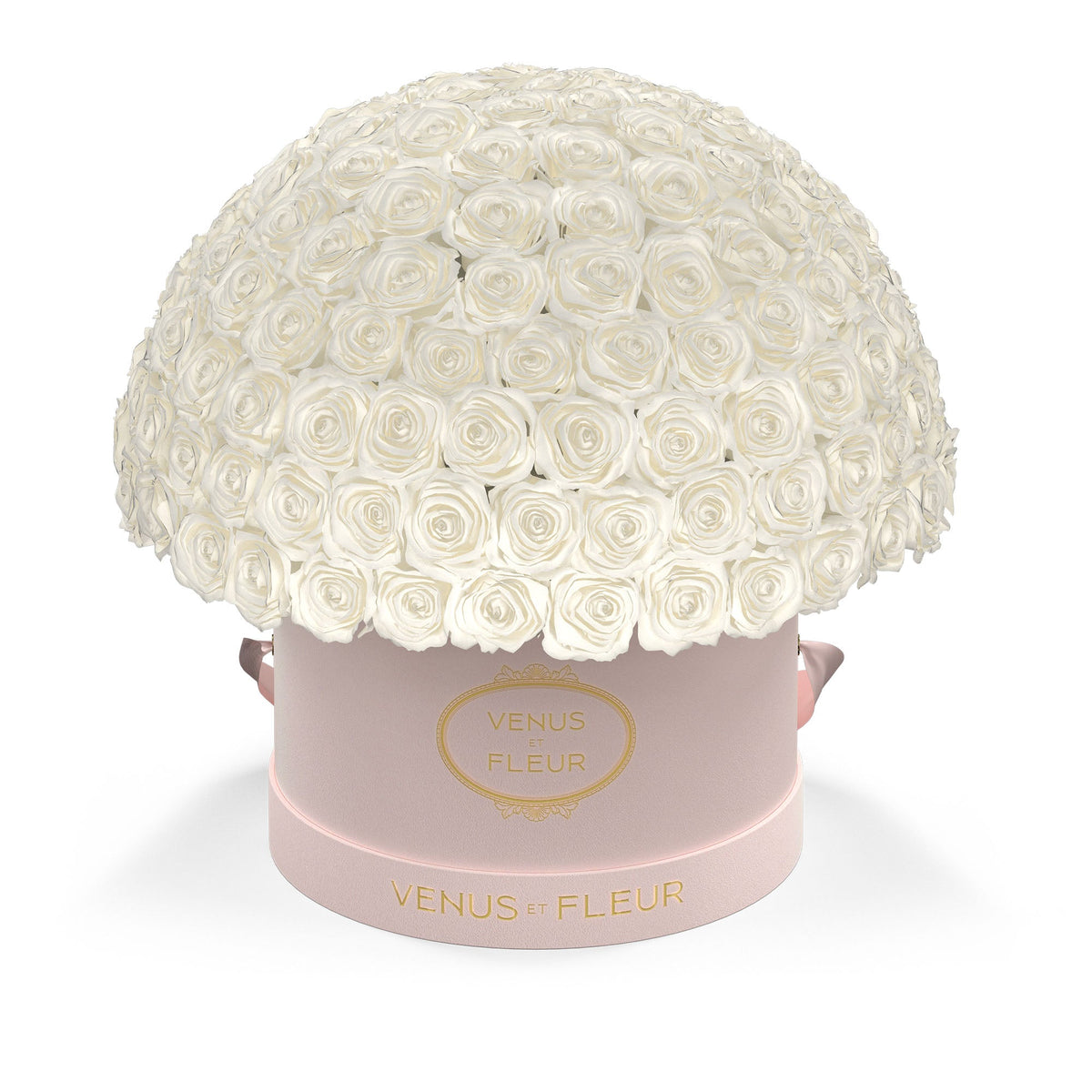 Large bouquet of white roses in a pink round box labeled 'VENUS ET FLEUR'