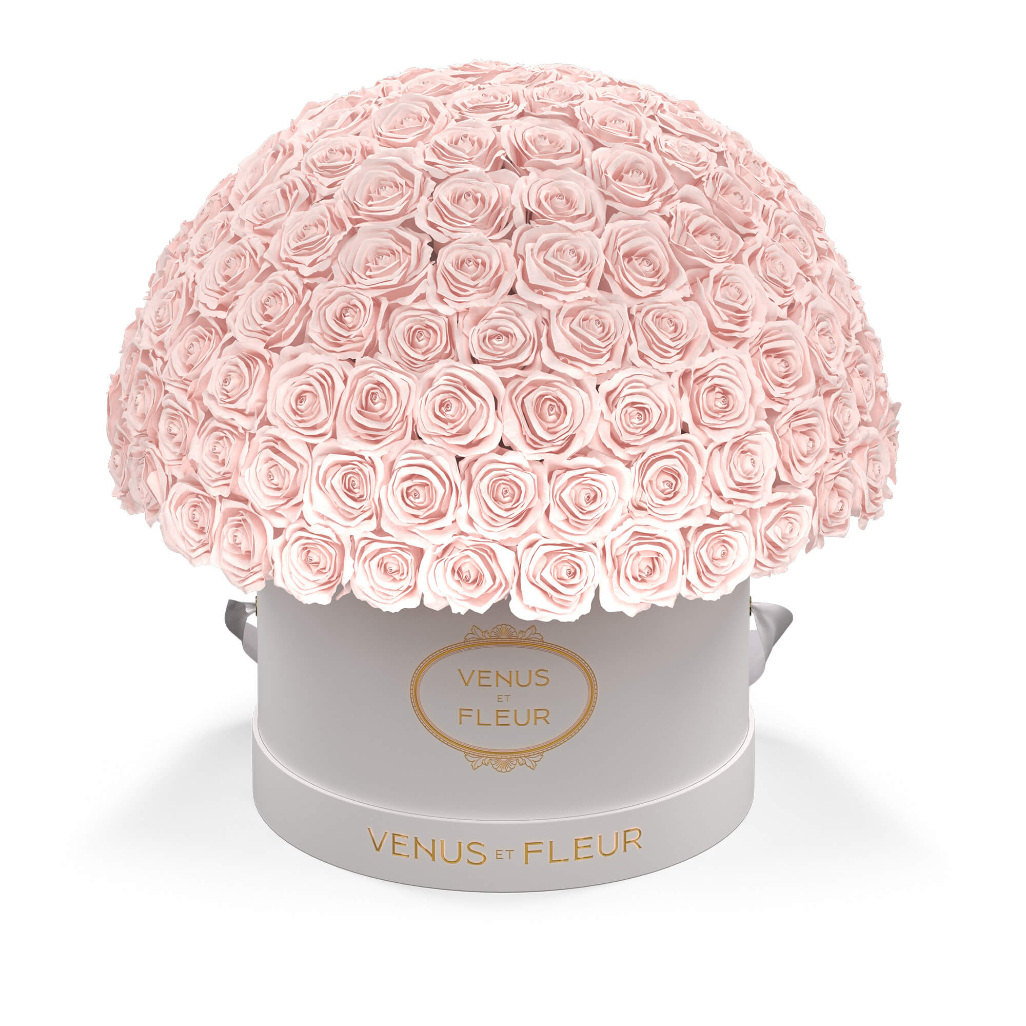 Eternity® Roses: Preserved Roses That Last a Year | Venus et Fleur