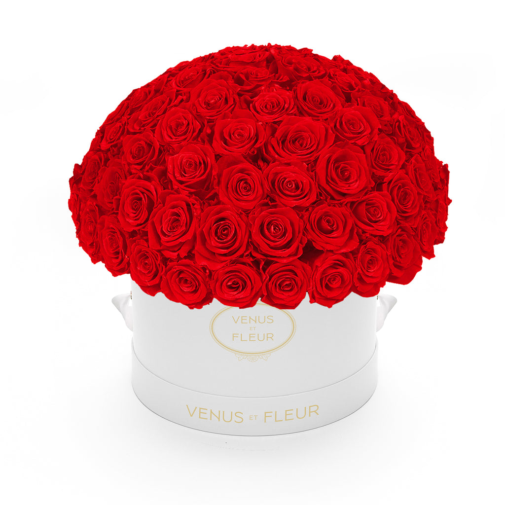Large bouquet of red roses in a white round box labeled 'VENUS ET FLEUR'
