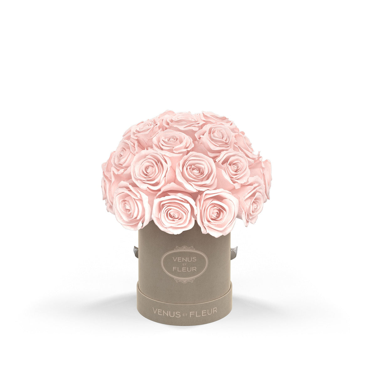 Bouquet of pink roses in a beige box labeled 'VENUS ET FLEUR'