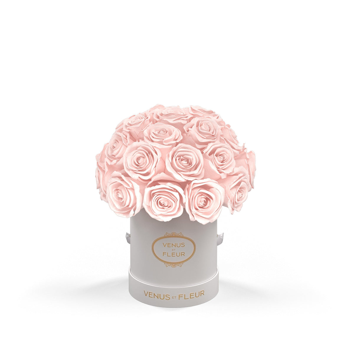 Dimens Roses Dome Shaped Roses & Floral Arrangements | Venus et Fleur