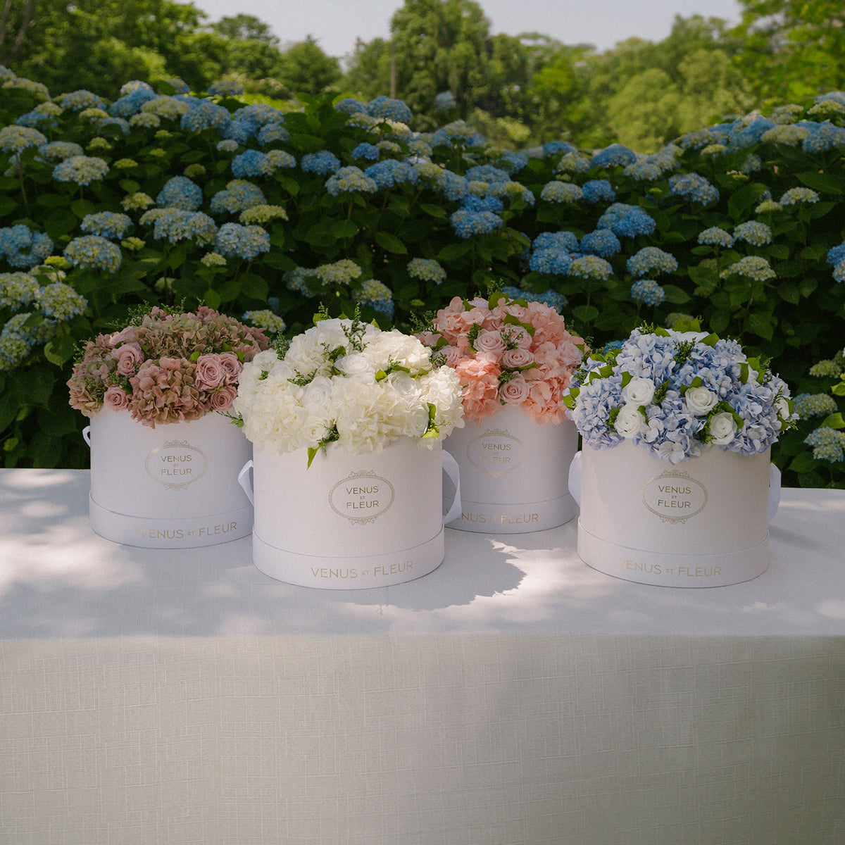 Large Round Roses & Hydrangeas