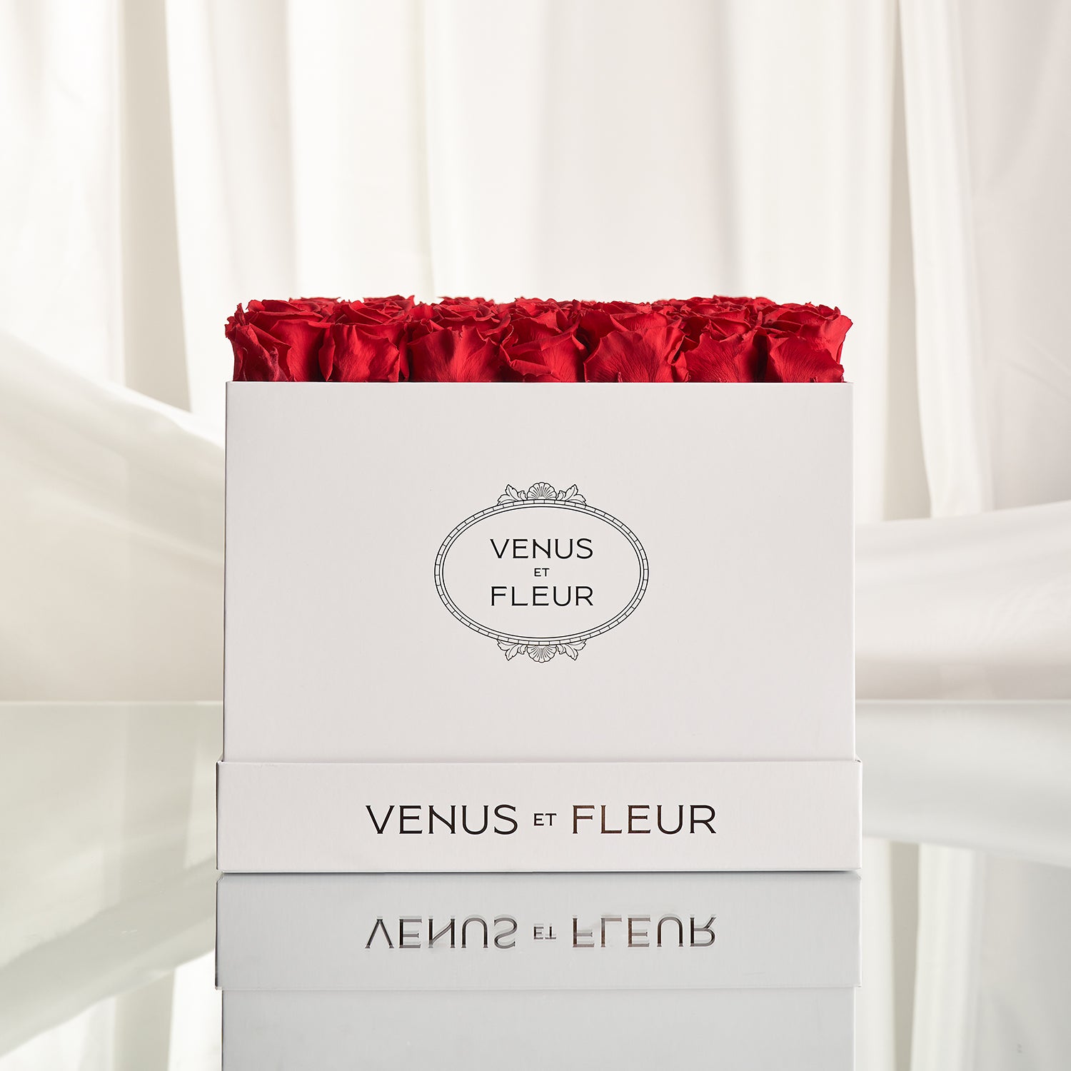 Large Square White Box with Eternity Roses | Venus et Fleur Large Square White Box with Eternity Roses | Venus et Fleur