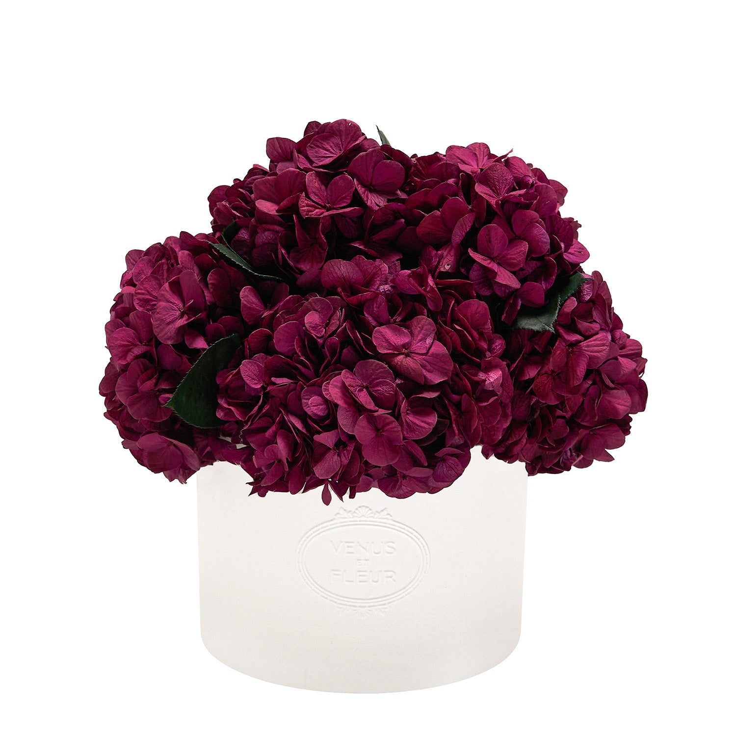 Thalia Porcelain Vase