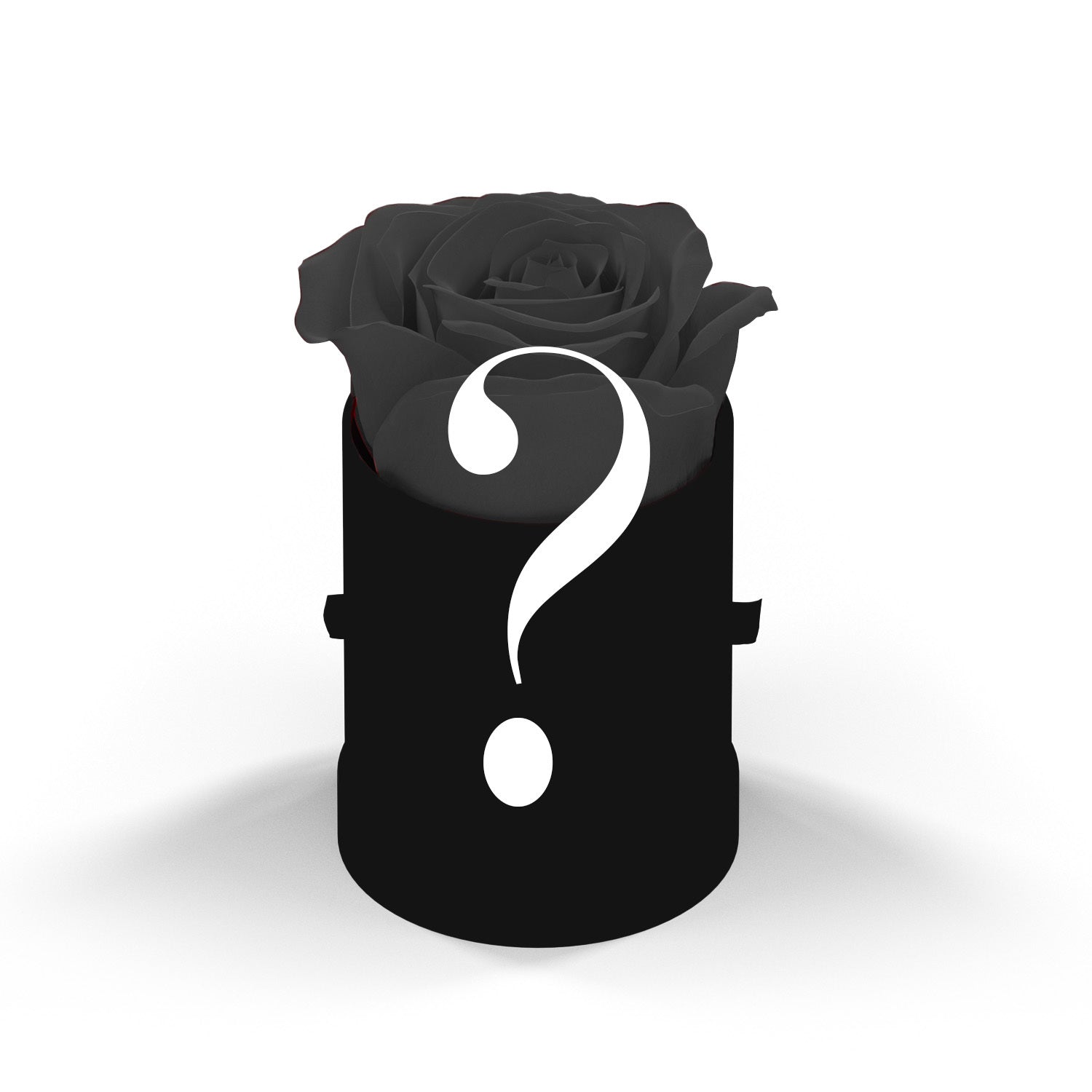 Mystery Le Mini Round Gift