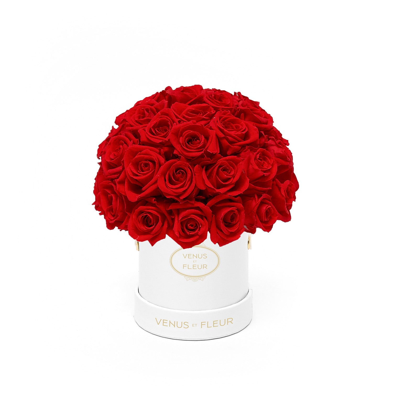 Eternity® Roses: Preserved Roses That Last a Year | Venus et Fleur