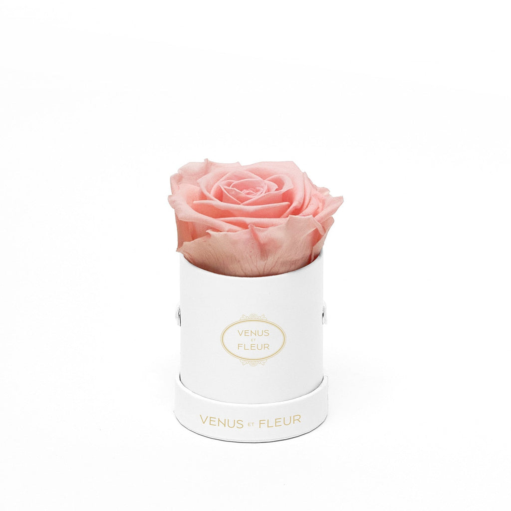 Pink rose in a white round box labeled 'VENUS ET FLEUR'