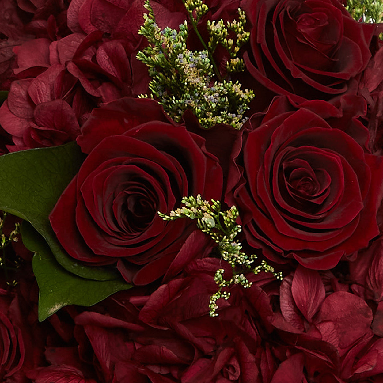 Large Square Black Suede Box with Eternity Roses | Venus et