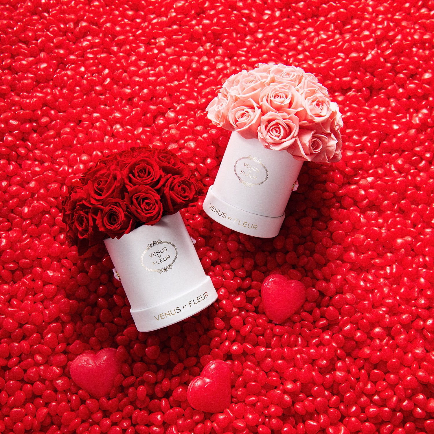 Luxury Eternity® Roses & Preserved Rose Bouquets | Venus et Fleur