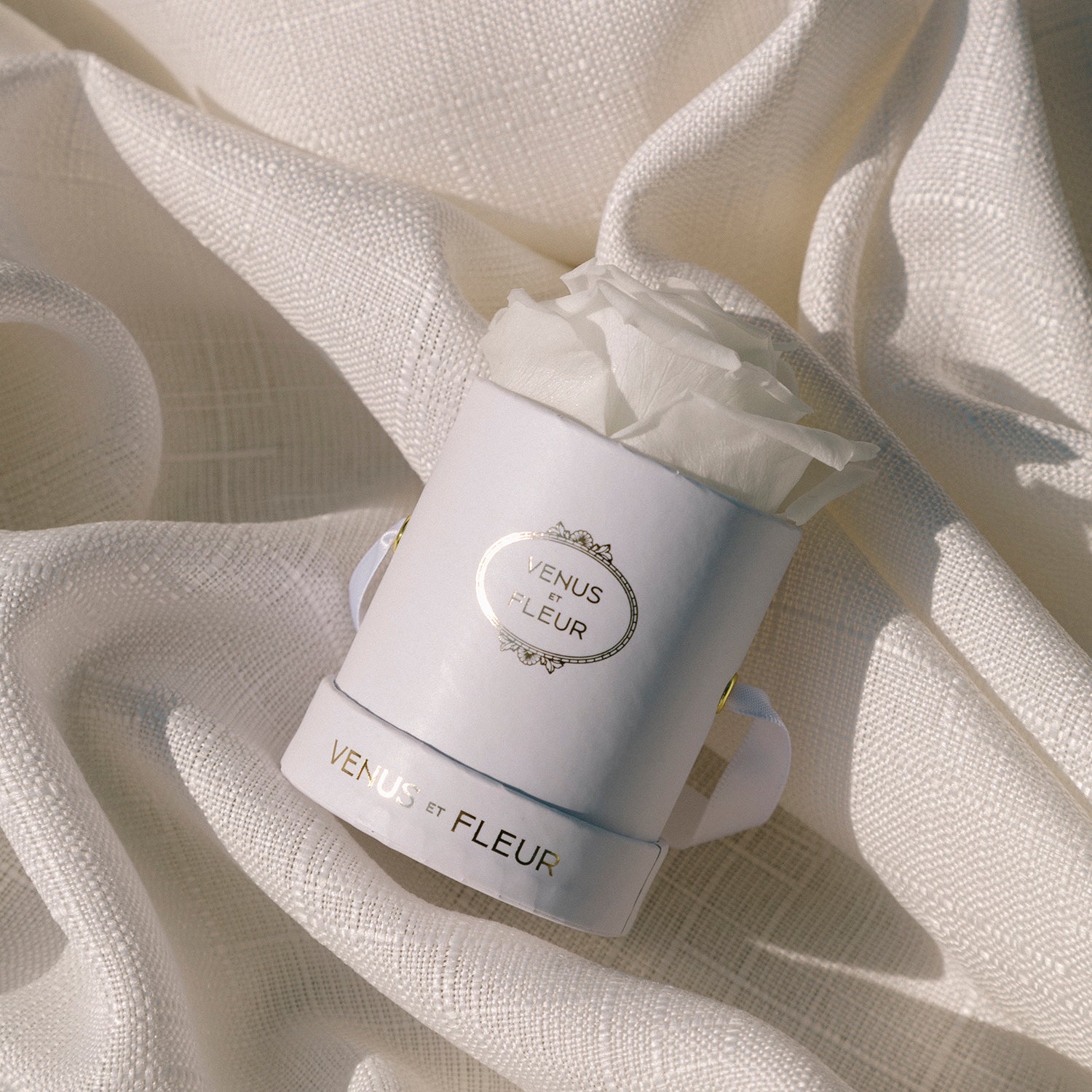 Mini Round White Box with Eternity Roses | Venus et Fleur