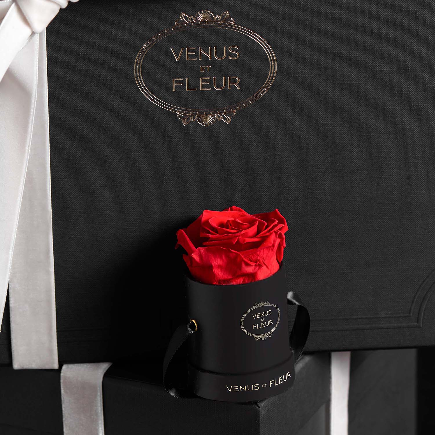 Mini Round Black Box with Eternity Roses | Venus et Fleur Mini Round Black Box with Eternity Roses | Venus et Fleur