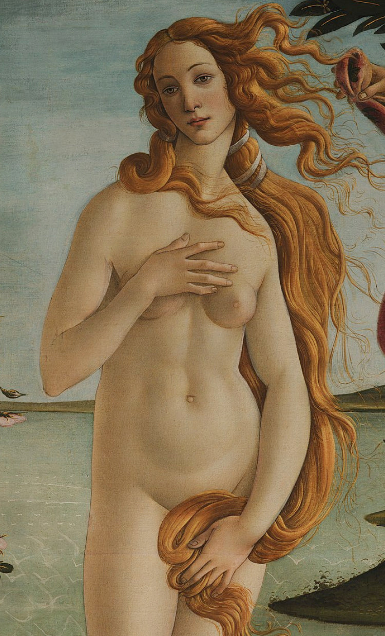 Image of the birth of Venus painting by Sandro Botticelli 