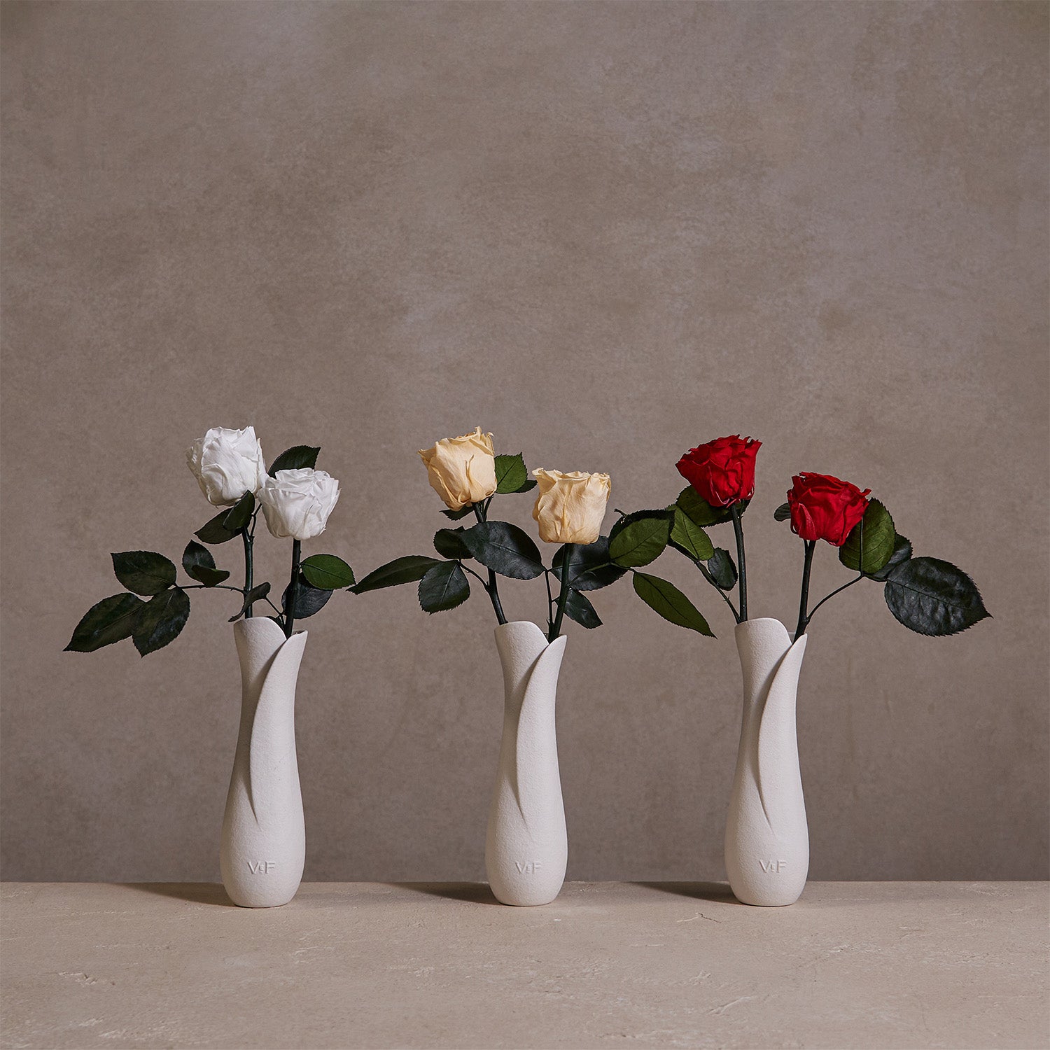 Mojave Narrow Bud Vase – Venus et Fleur