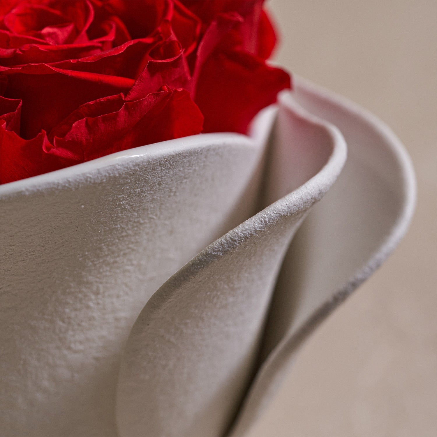 Eternity® Roses: Preserved Roses That Last a Year | Venus et Fleur