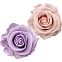 Femininity, Grace, Enchantment