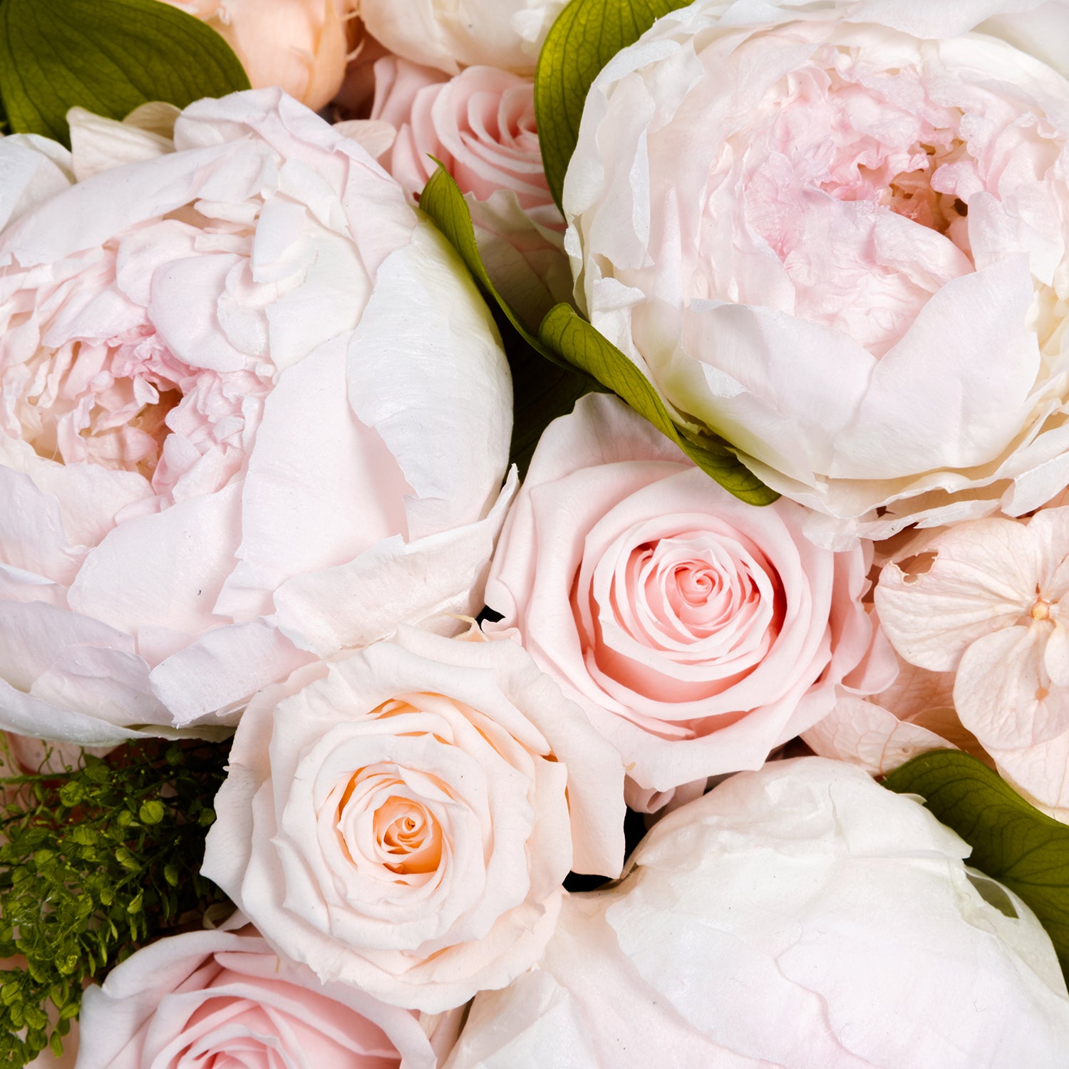 Large Round of Eternity® Roses & Hydrangeas | Venus et Fleur