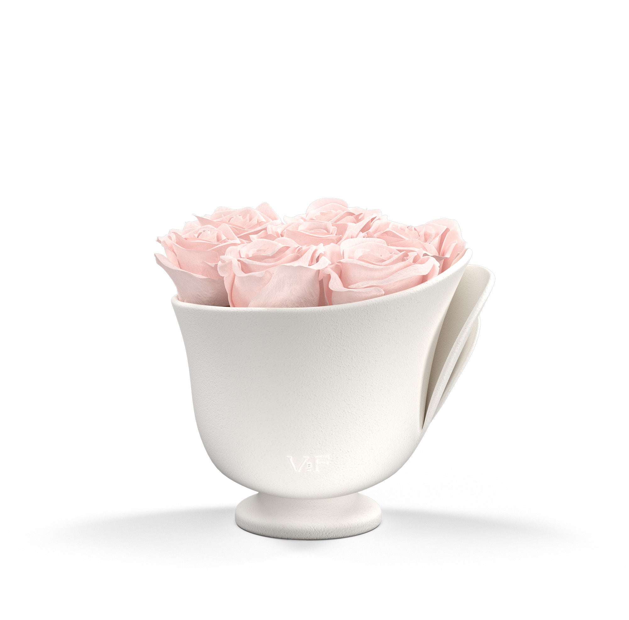 Eternity® Roses: Preserved Roses That Last a Year | Venus et Fleur