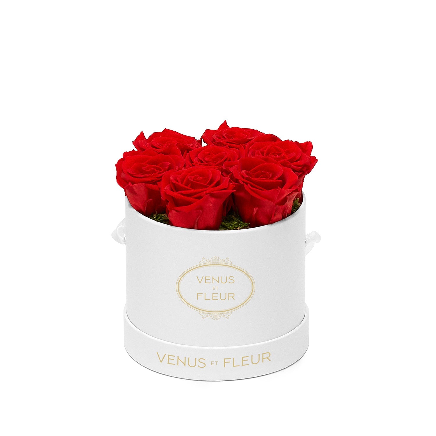Luxury Eternity ® Roses | Preserved Roses by Venus et Fleur