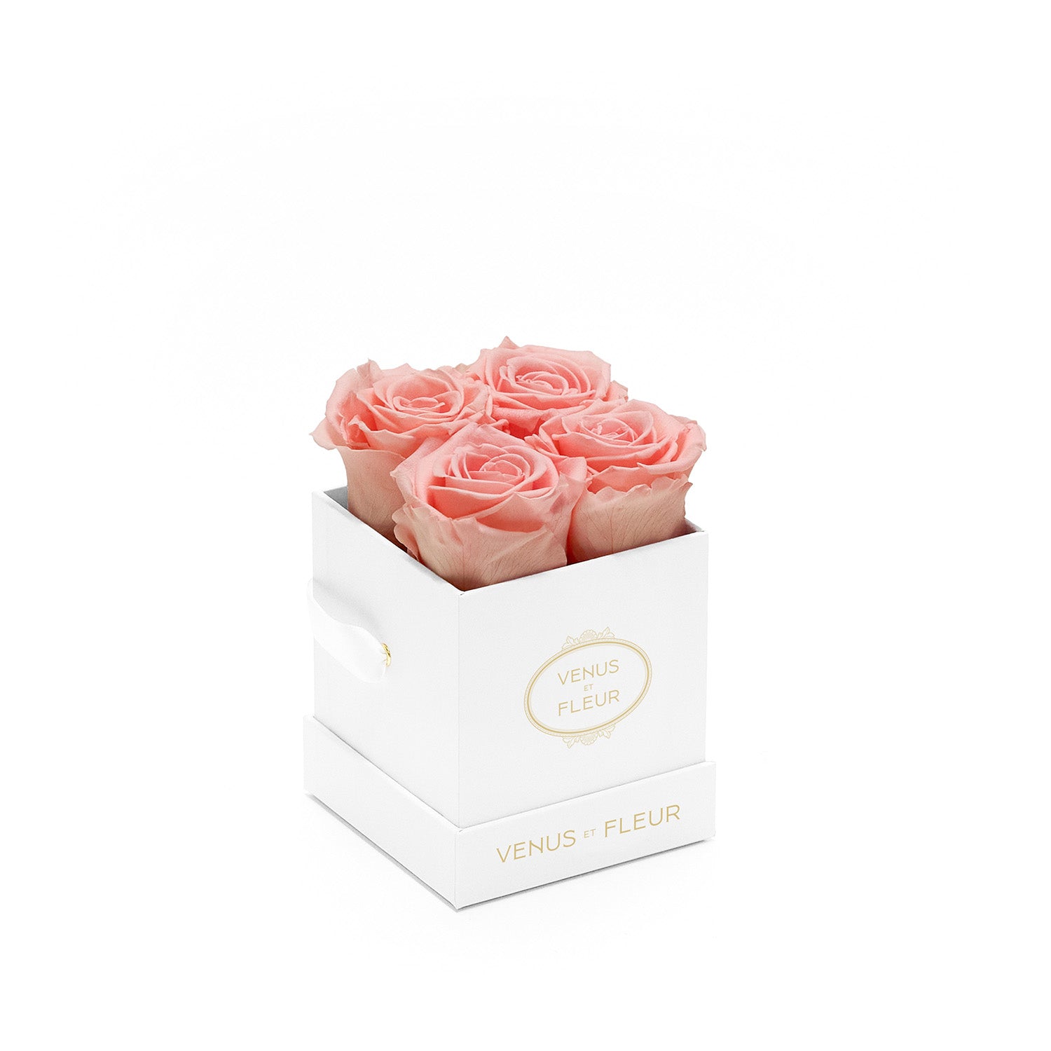 Luxury Eternity ® Roses | Preserved Roses by Venus et Fleur