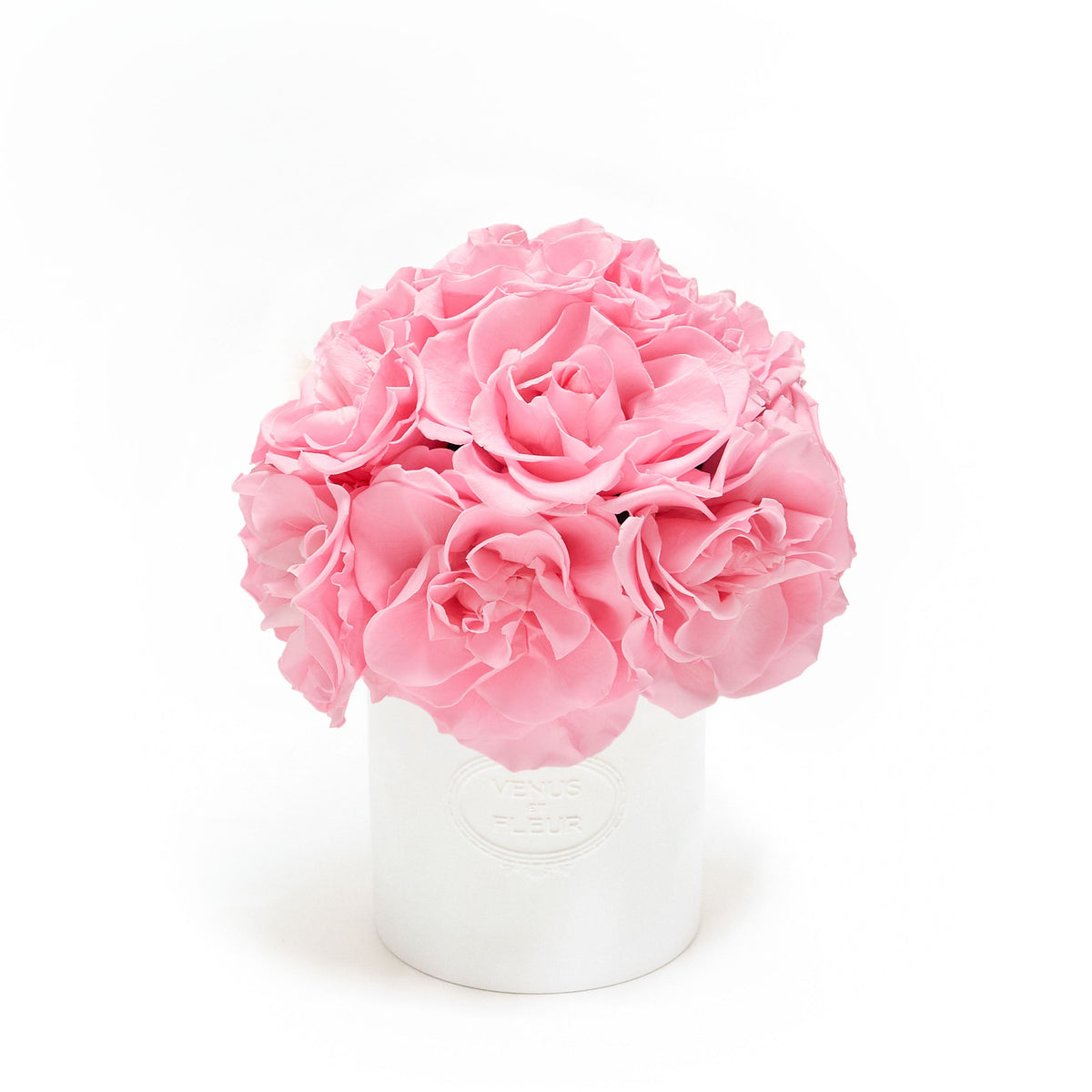 Enternity Roses Luxury Eternity ® Roses | Preserved Roses by Venus et Fleur