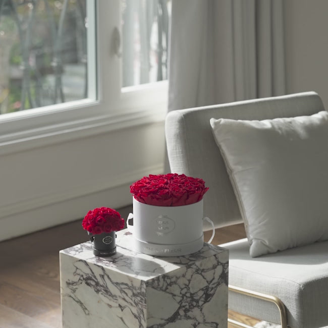 Grandiose Black Box | Eternity Roses | Venus et Fleur