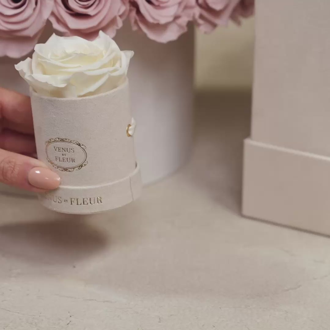 Small Round Blush Suede Box with Eternity Roses | Venus et Fleur