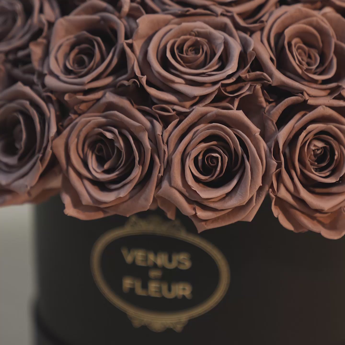 Le Plein with 150 Roses in Blush Hatbox | Venus et Fleur