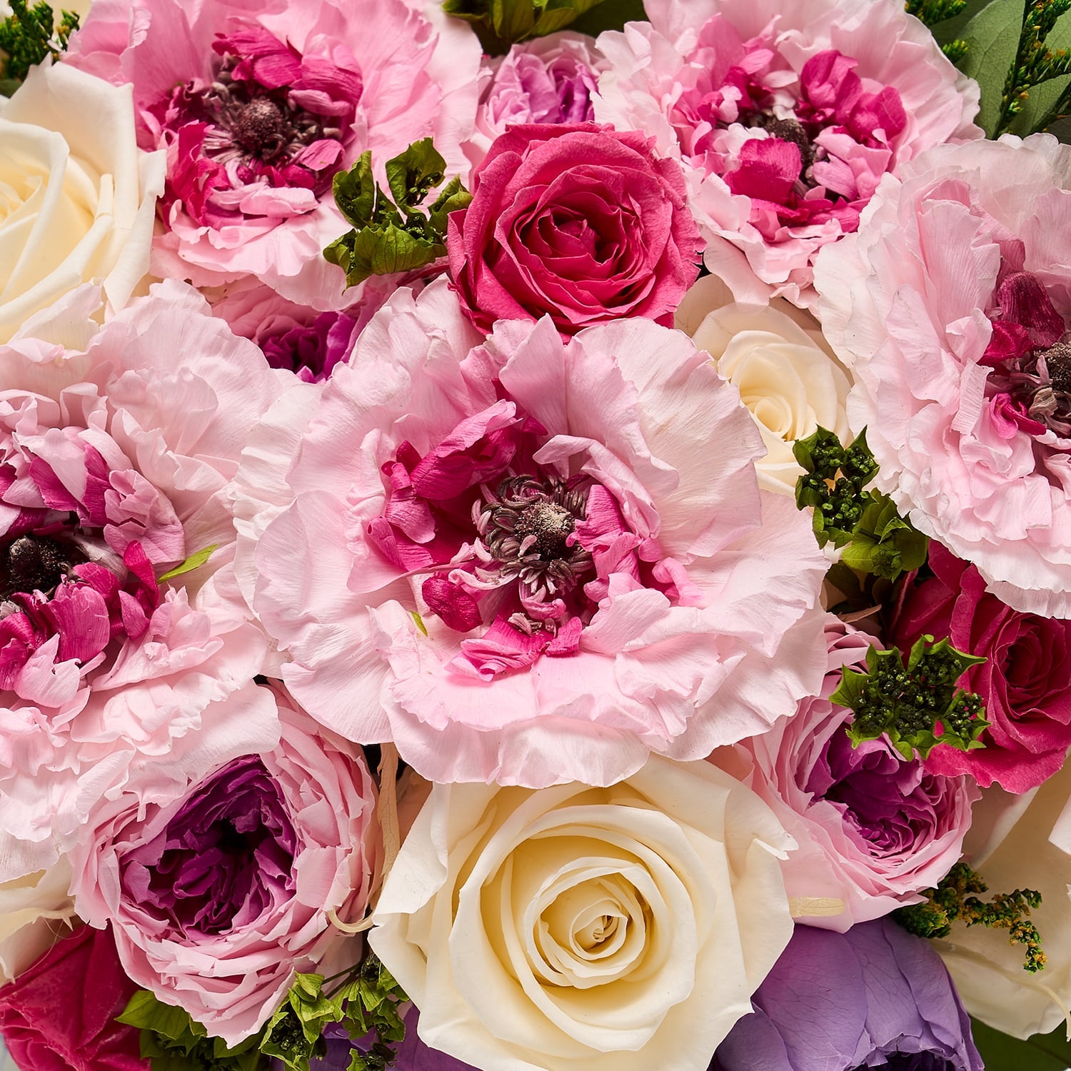 Eternity® Japanese Ranunculus | Long-Lasting Flowers | Venus et Fleur