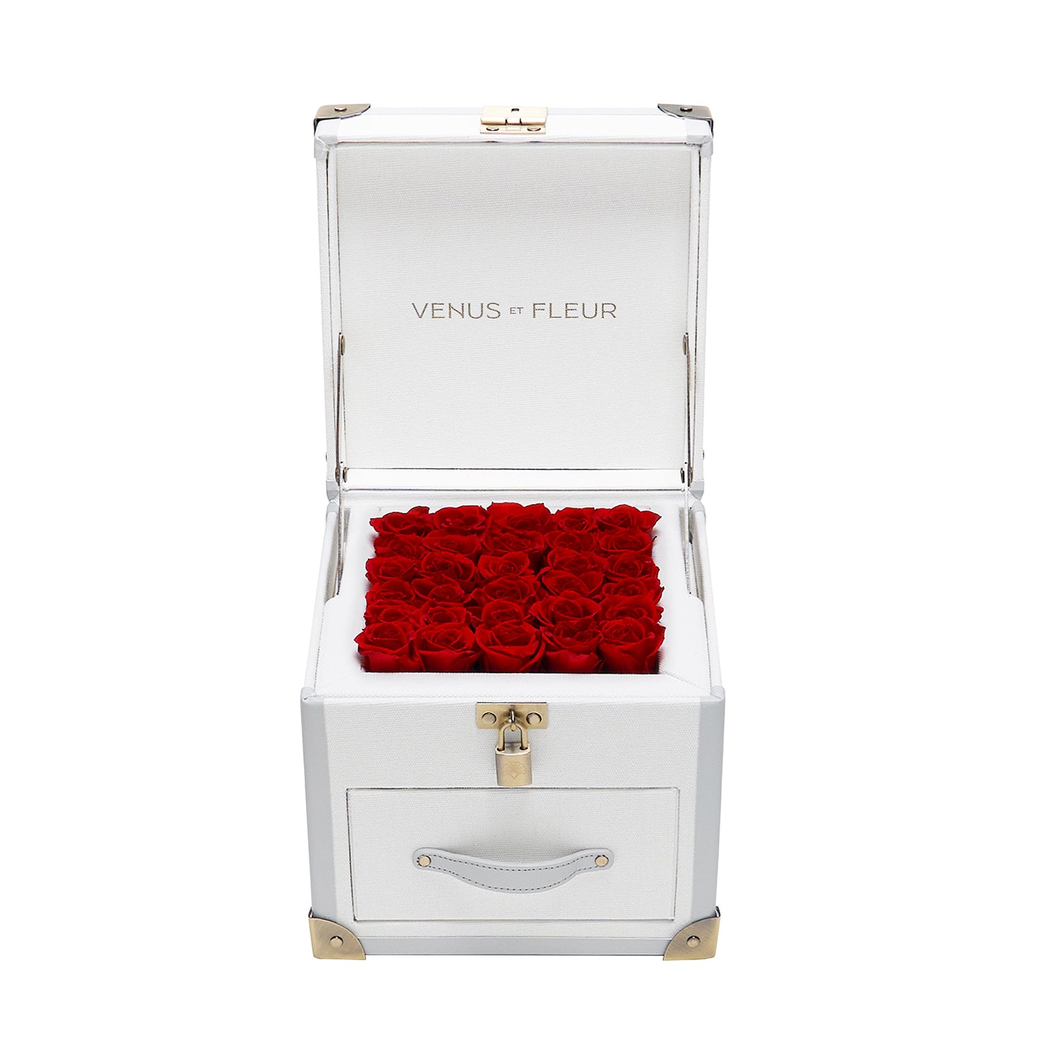 Luxury Eternity ® Roses | Preserved Roses by Venus et Fleur