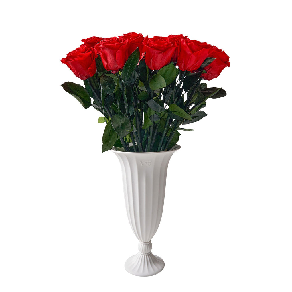 Aphrodite Porcelain Vase, One Dozen, Red, 12 Long-Stem Eternity Roses, Venus et Fleur