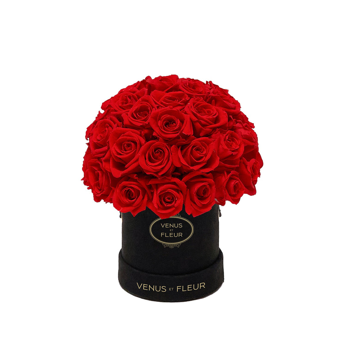 Bouquet of red roses in a black round box labeled 'VENUS ET FLEUR'