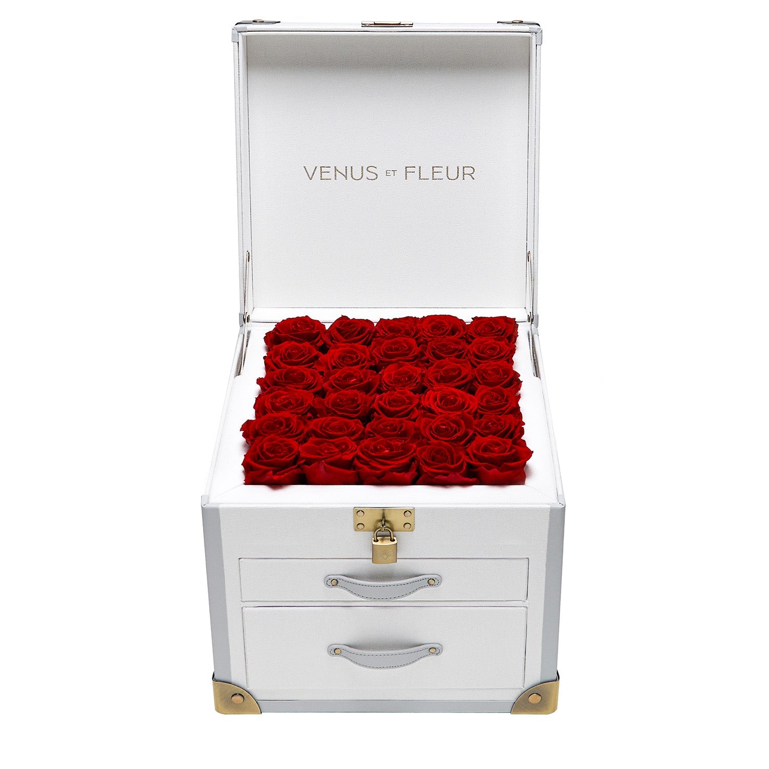Luxury Eternity ® Roses | Preserved Roses by Venus et Fleur
