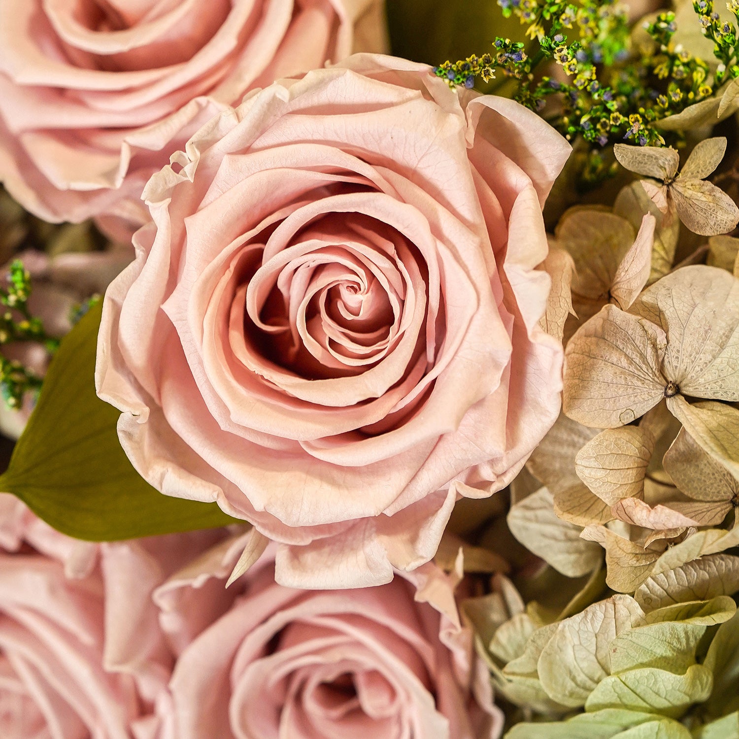 Thalia Porcelain Vase Roses & Hydrangeas 8
