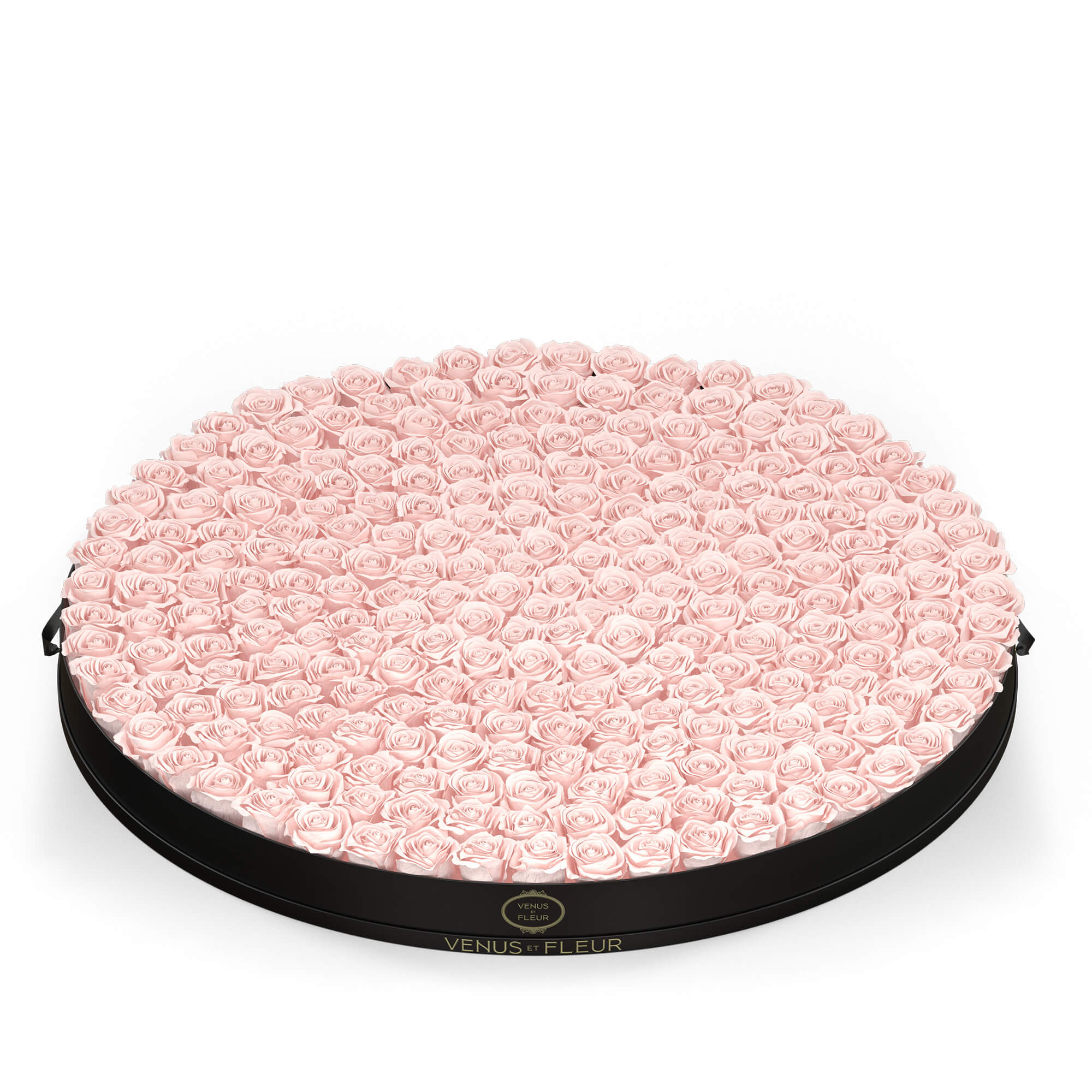 image-with-thumbnail 