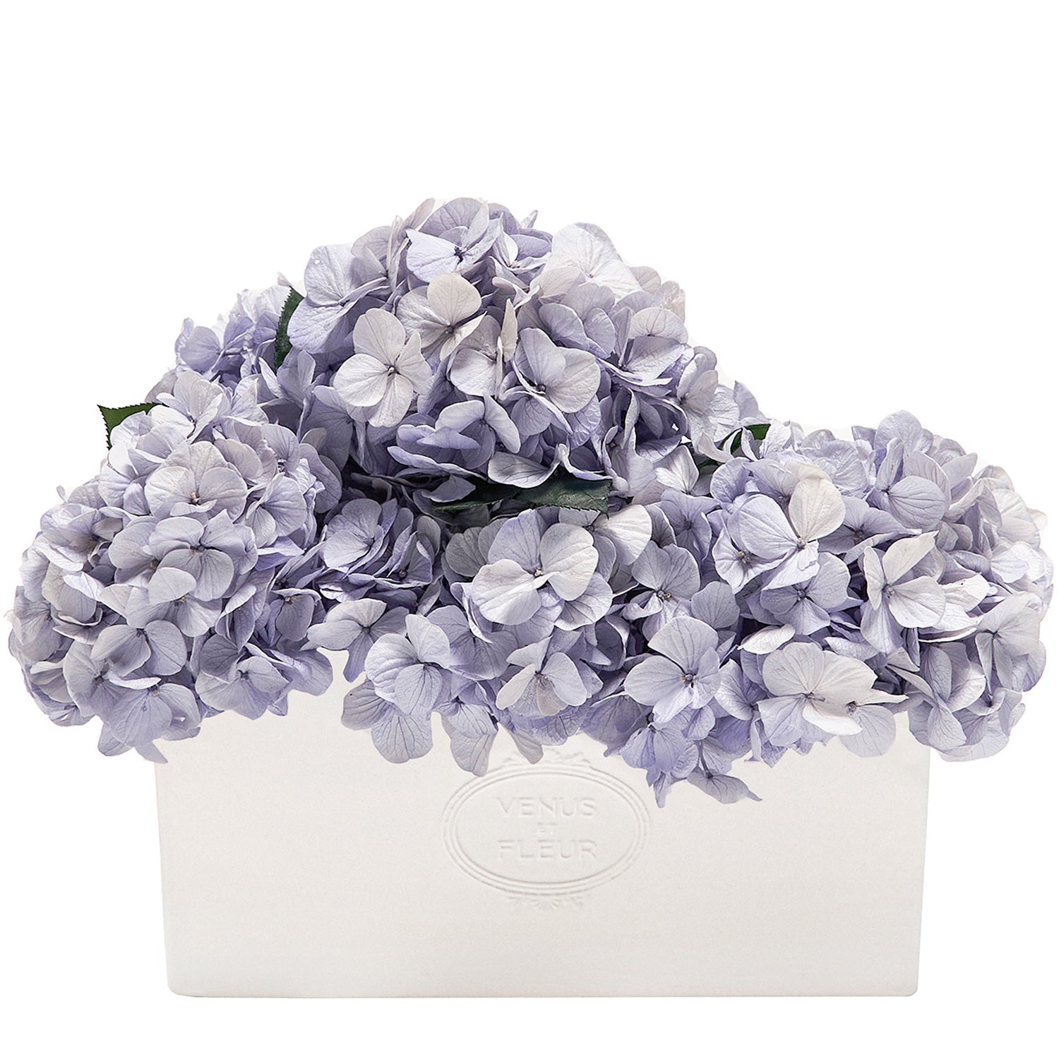 Serene Porcelain Vase with Eternity Hydrangeas | Venus et Fleur